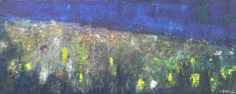 Night Time - above Dancing Ledge